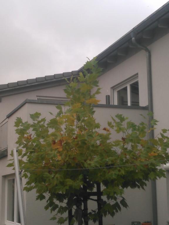 Ferienwohnung Zum Kletterturm Kaufbeuren Exterior photo